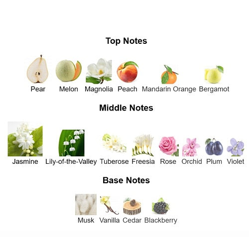 Dior J’adore Eau de Parfum 100ml